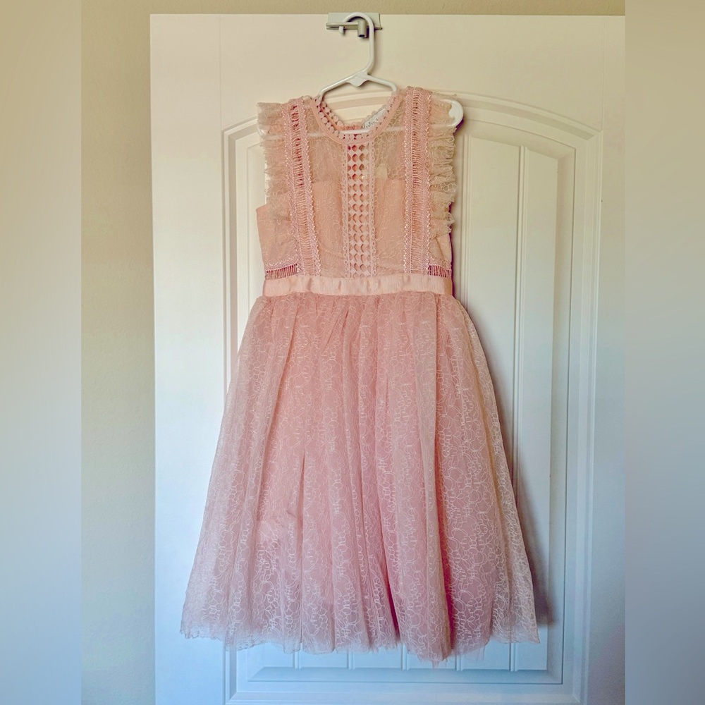 Trish Scully Clarissa Dress in Peachy Pink.  Size 6.